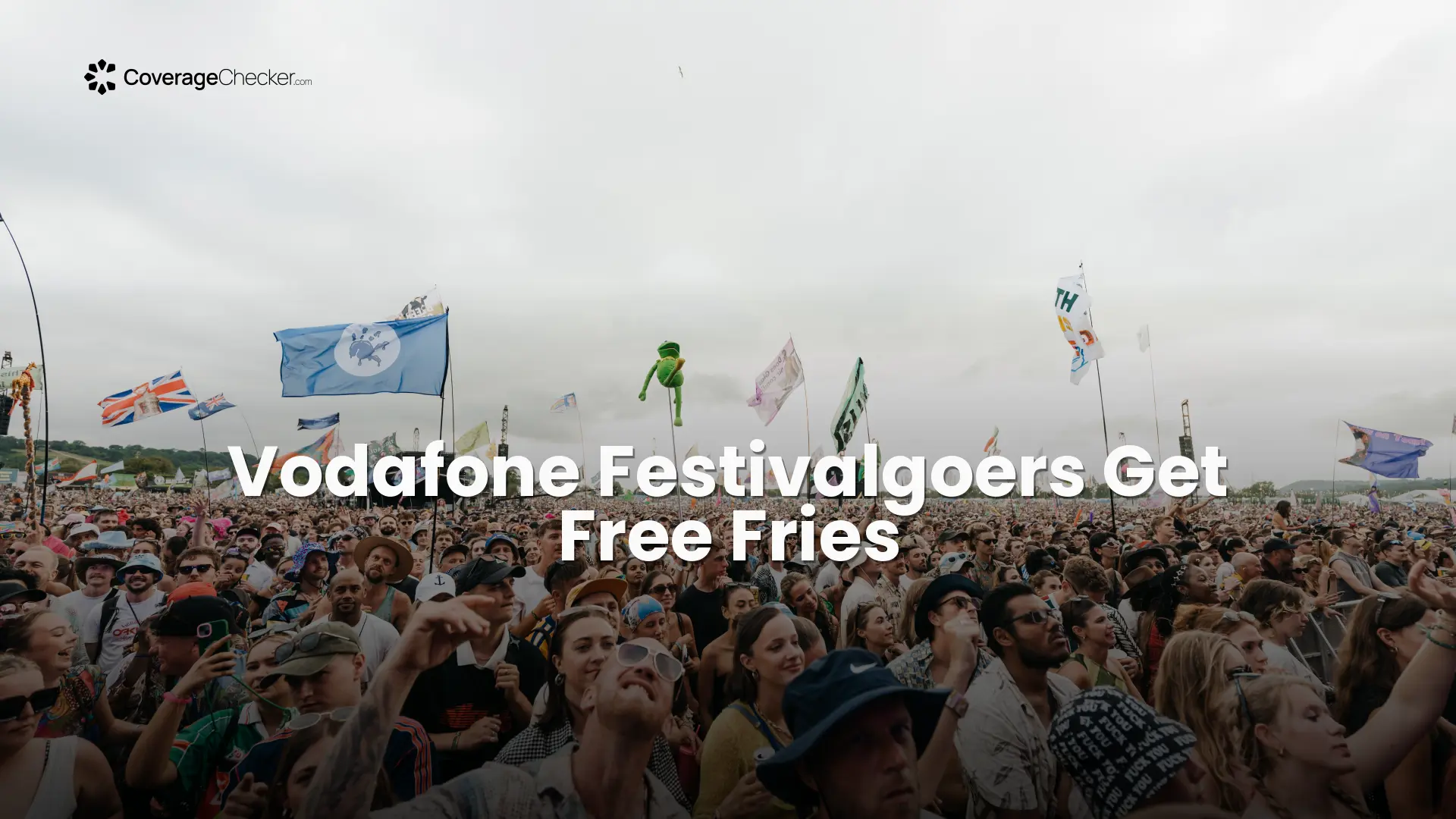 Vodafone Festivalgoers Get Free Fries